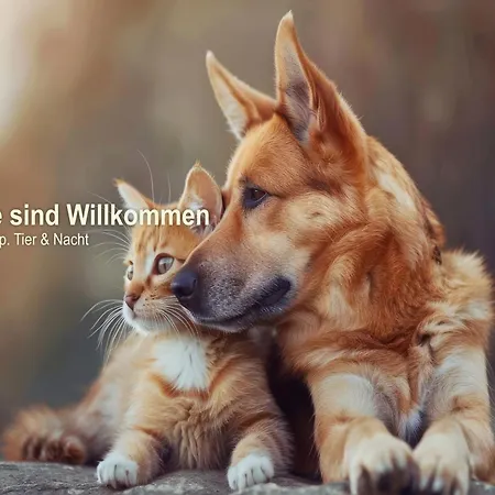 Отель Panorama Винтерберг