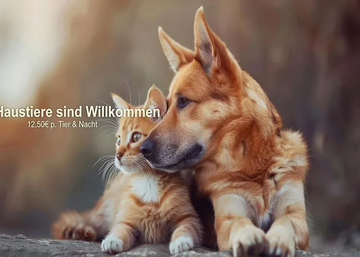 Hotell Panorama Winterberg