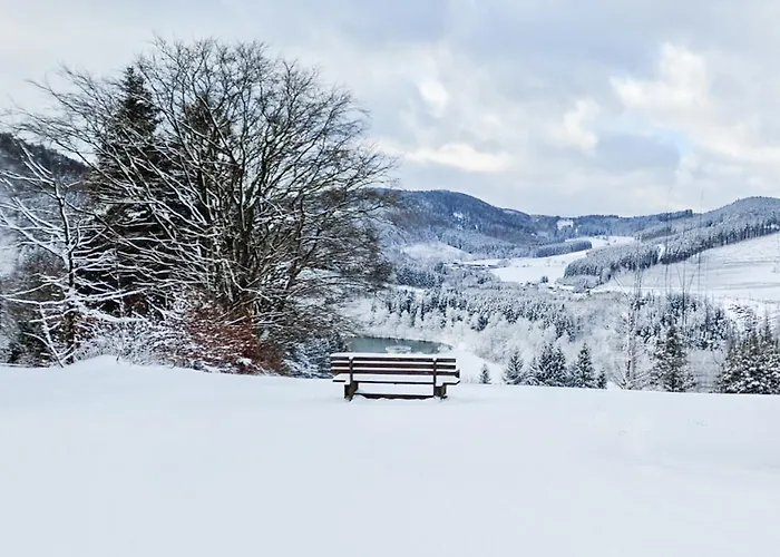 Panorama Hotell Winterberg
